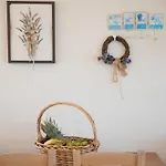 Erato Цукаладес