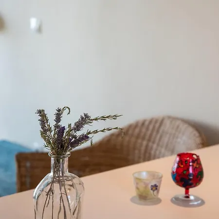 Erato * Tsoukaládhes